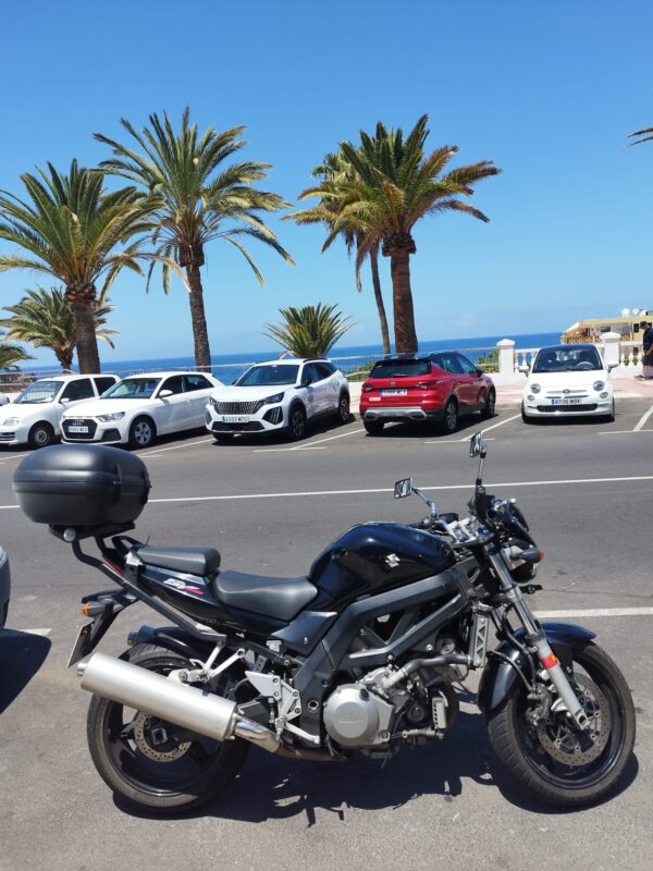 suzuki sv 1000