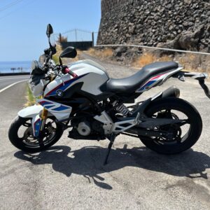 BMW G 310R